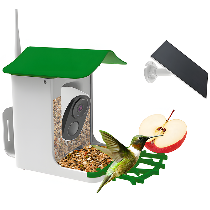 F2A  Bird Feeder with Camera
